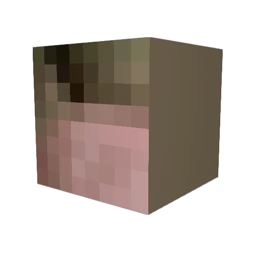 shoelzzz Minecraft avatar head, 3D render