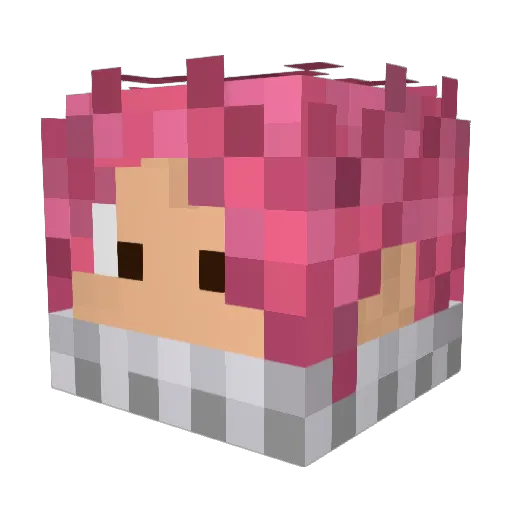 shoittheman Minecraft avatar head, 3D render