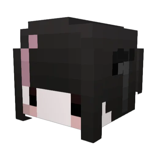 shokozo Minecraft avatar head, 3D render