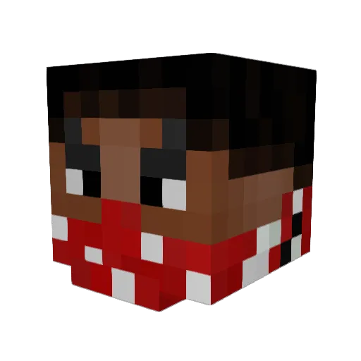 shoksy21 Minecraft avatar head, 3D render