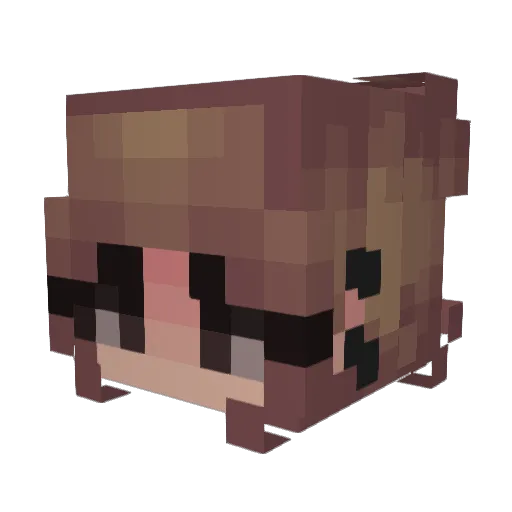 shokxoxo Minecraft avatar head, 3D render