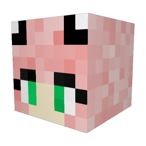 shondesu Minecraft avatar head, 3D render