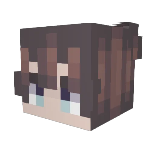 shonkers Minecraft avatar head, 3D render