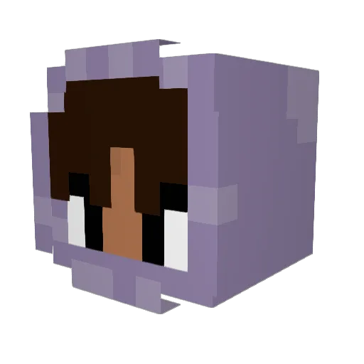 shonne_pro Minecraft avatar head, 3D render