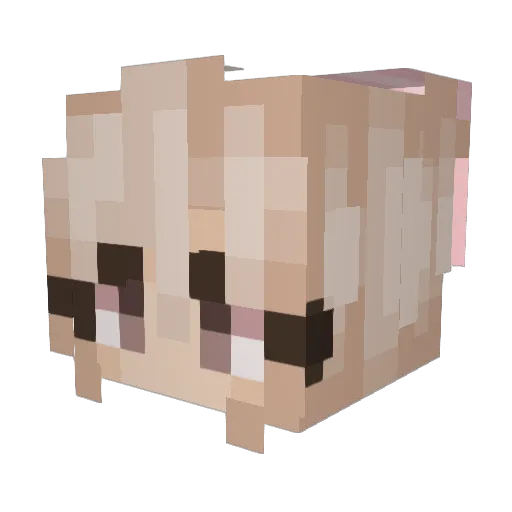 shoobwiggin Minecraft avatar head, 3D render