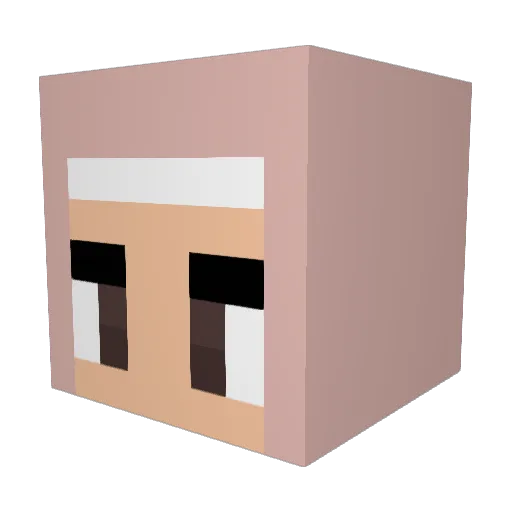 shookadook Minecraft avatar head, 3D render
