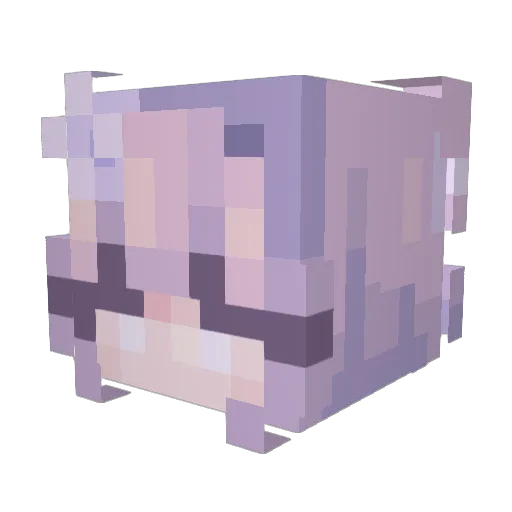 shooky65 Minecraft avatar head, 3D render