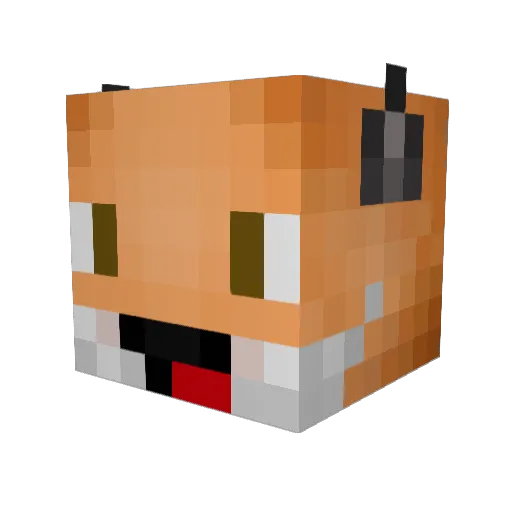 shooter545 Minecraft avatar head, 3D render