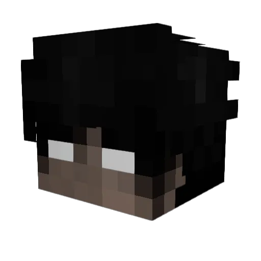 shootingvest Minecraft avatar head, 3D render