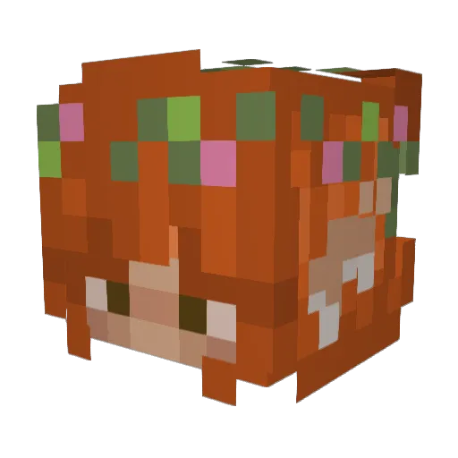 shooversays Minecraft avatar head, 3D render