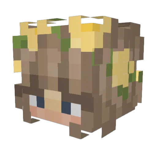 shop_lifter Minecraft avatar head, 3D render