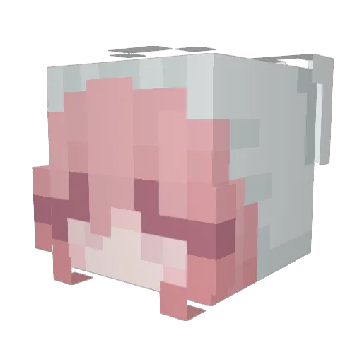 shoricho Minecraft avatar head, 3D render