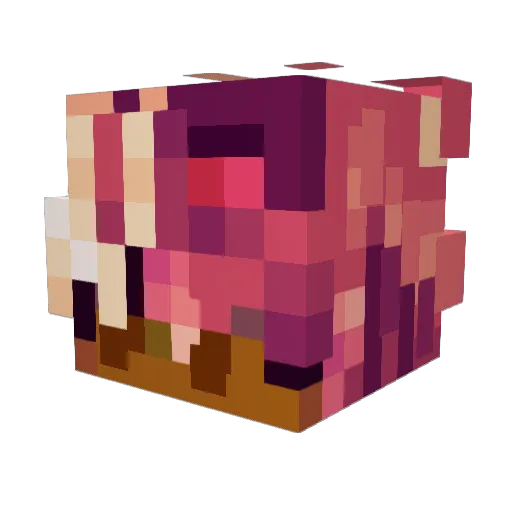 shorkbean Minecraft avatar head, 3D render