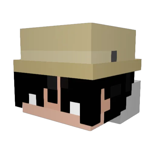 shortangle Minecraft avatar head, 3D render