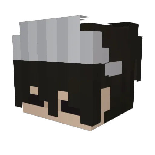 shortcat34 Minecraft avatar head, 3D render