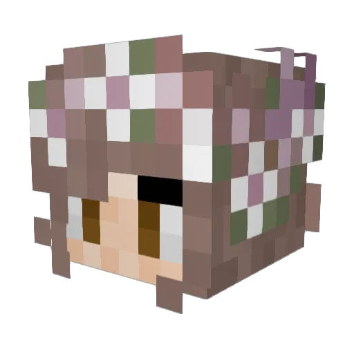 shortstaccccc Minecraft avatar head, 3D render
