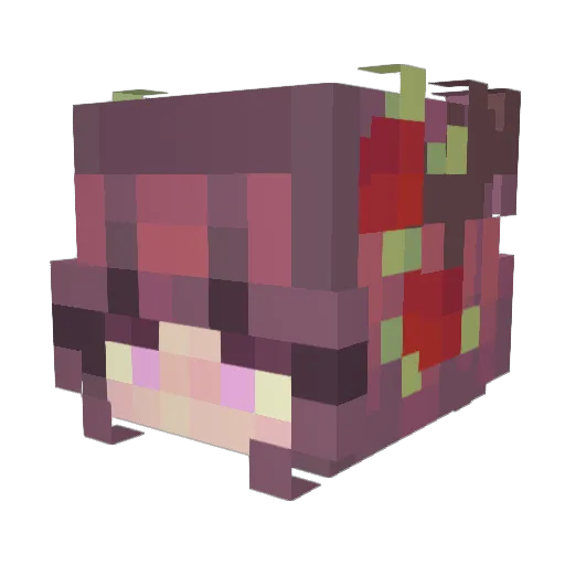 shortstack620 Minecraft avatar head, 3D render
