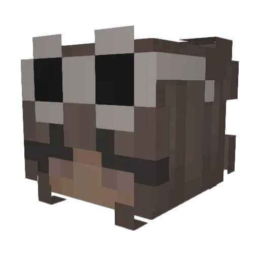 shortxy8 Minecraft avatar head, 3D render