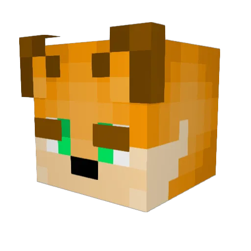 shortytp_1 Minecraft avatar head, 3D render