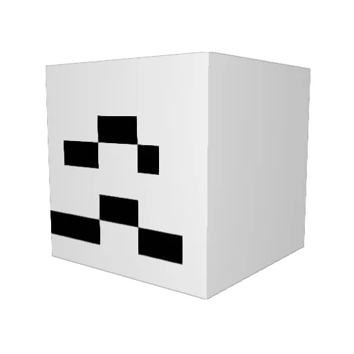 shot9uns_ Minecraft avatar head, 3D render