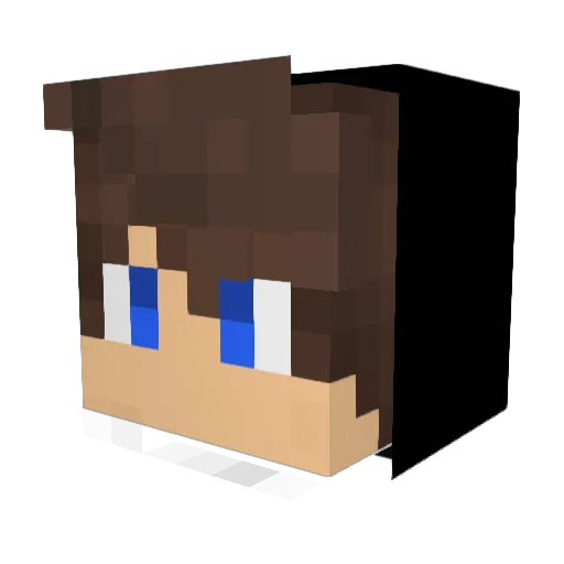 shotenz676 Minecraft avatar head, 3D render