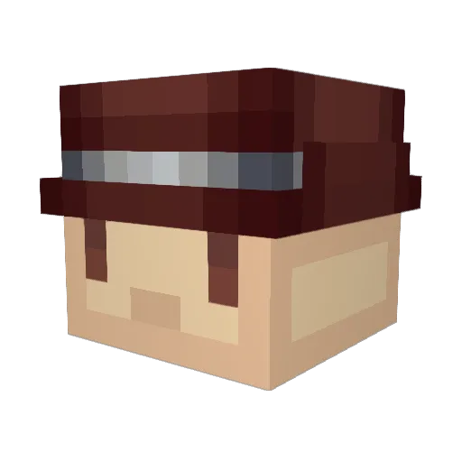 shotgunwang Minecraft avatar head, 3D render