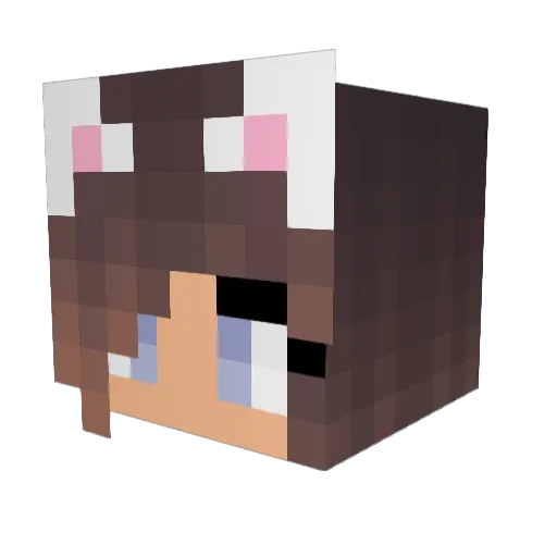 shotmagnet Minecraft avatar head, 3D render