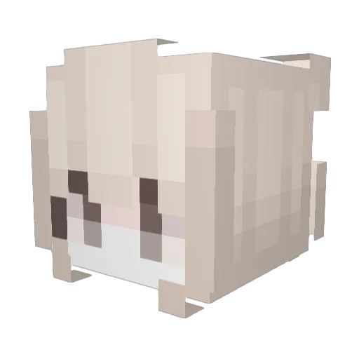 shotodxl Minecraft avatar head, 3D render
