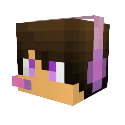 shouhung666 Minecraft avatar head, 3D render