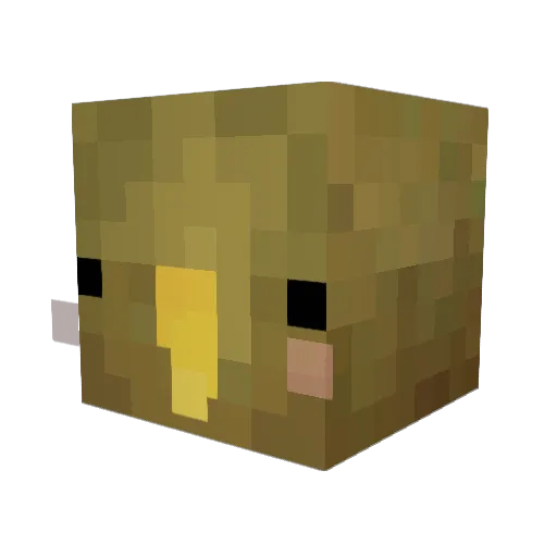 shouuya Minecraft avatar head, 3D render