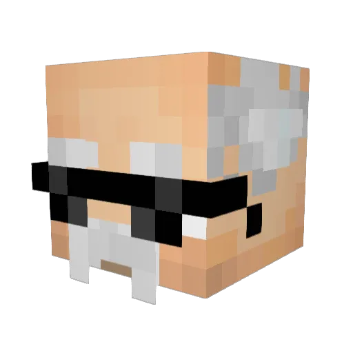 shovaen Minecraft avatar head, 3D render