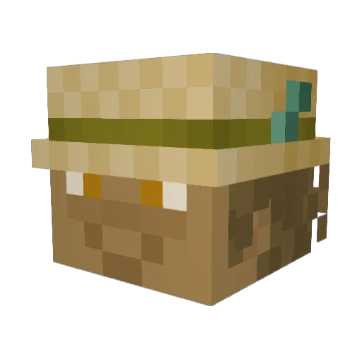 shovelbro_ Minecraft avatar head, 3D render