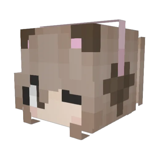 shovs Minecraft avatar head, 3D render