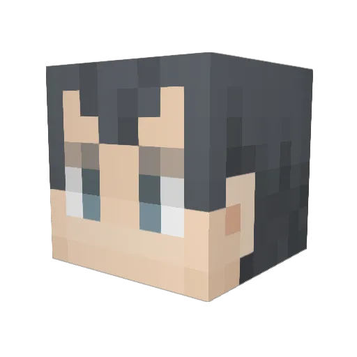 show2315 Minecraft avatar head, 3D render