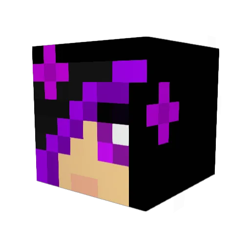 showdog9911 Minecraft avatar head, 3D render