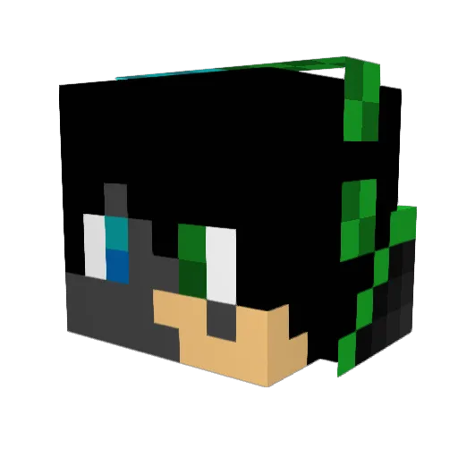 showin11 Minecraft avatar head, 3D render