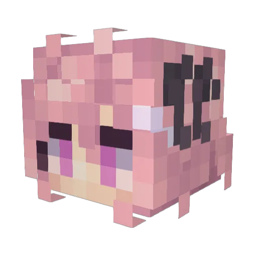showlin22 Minecraft avatar head, 3D render
