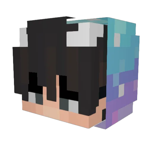showwings Minecraft avatar head, 3D render