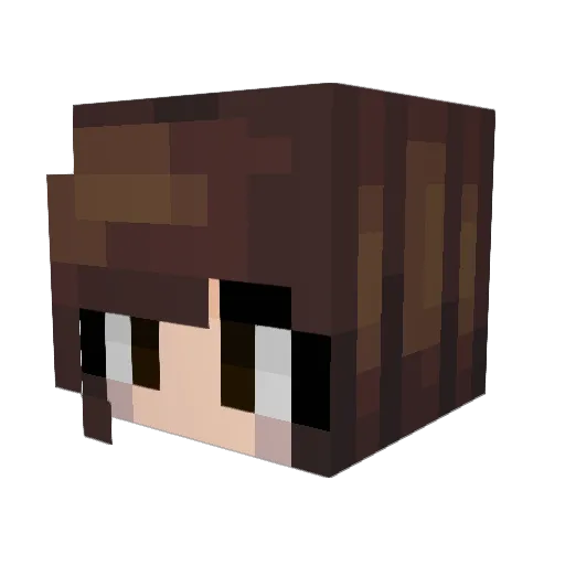 shox09 Minecraft avatar head, 3D render