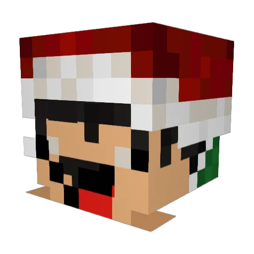 shozzzzzz Minecraft avatar head, 3D render