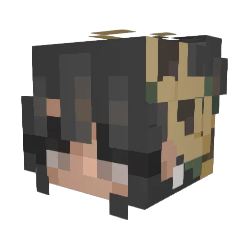 shqnnon_ Minecraft avatar head, 3D render