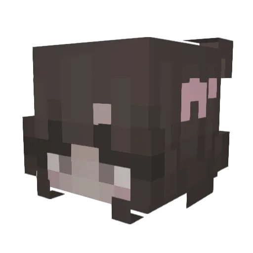 shqwhxle Minecraft avatar head, 3D render