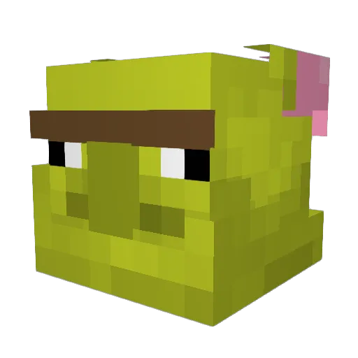 shrek_IsDaddy Minecraft avatar head, 3D render