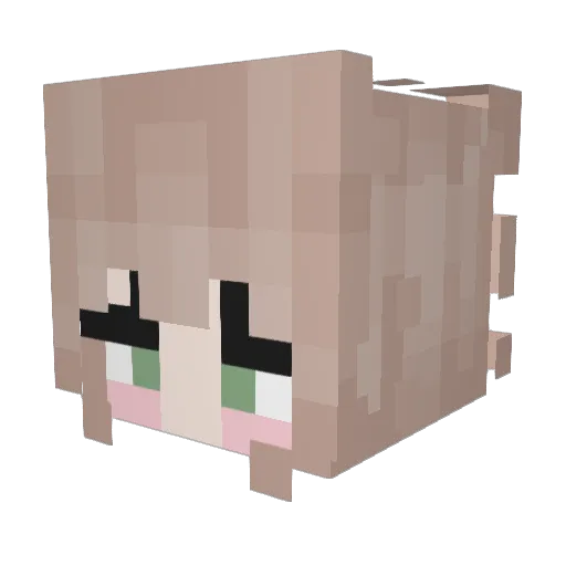 shrek__hot Minecraft avatar head, 3D render