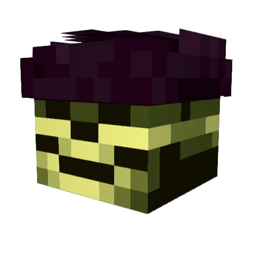 shriekmanlit Minecraft avatar head, 3D render