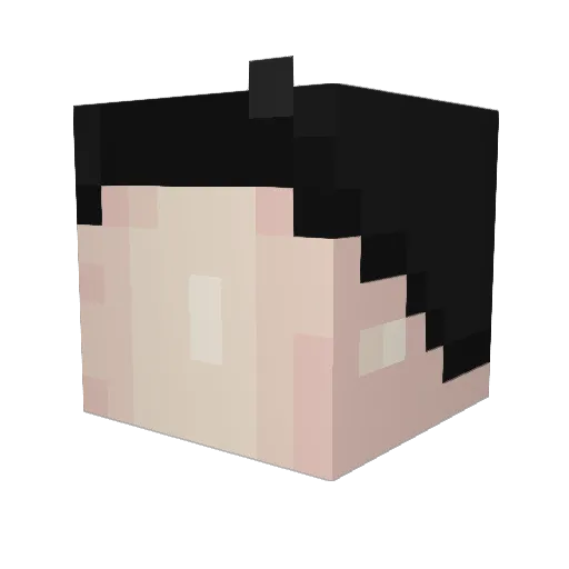 shrimp_in_a_bag Minecraft avatar head, 3D render