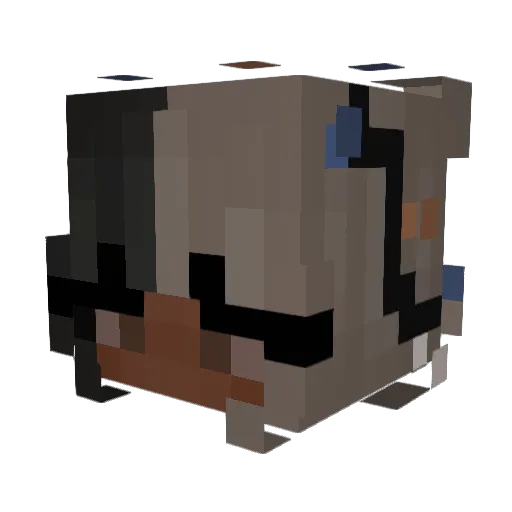 shrimpcatxd Minecraft avatar head, 3D render