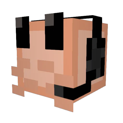 shrimpgang25 Minecraft avatar head, 3D render