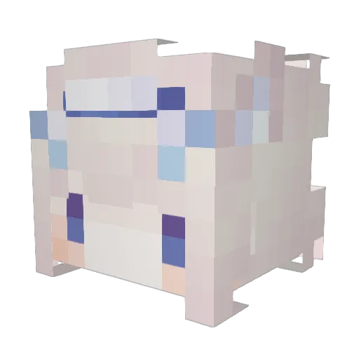 shrimpguy1007 Minecraft avatar head, 3D render