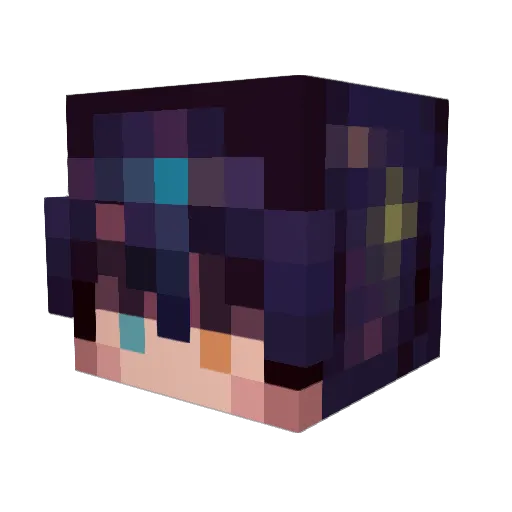 shrimpleigh Minecraft avatar head, 3D render